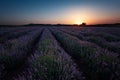 Sunrise at lavender field, Bulgaria Royalty Free Stock Photo