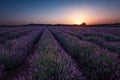 Sunrise at lavender field, Bulgaria Royalty Free Stock Photo