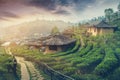 Sunrise at Lee wine Rak Thai,Ban Rak Thai a Chinese settlement, Royalty Free Stock Photo