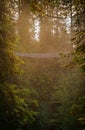 Capilano Suspension Bridge Park, North Vancouver, British Columbia, Canada Royalty Free Stock Photo