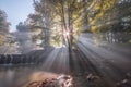 Sunrise light nature and mist Royalty Free Stock Photo