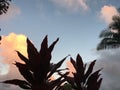 Sunrise in Lihue on Kauai Island in Hawaii. Royalty Free Stock Photo