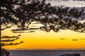 Sunrise over ocean, Napier, New Zealand Royalty Free Stock Photo