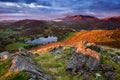 Sunrise At Loughrigg Tarn On An Autumn Morning, Lake District, UK. Royalty Free Stock Photo