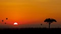 Sunrise on the Mara Royalty Free Stock Photo