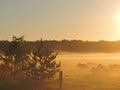 Sunrise in Meadow, Lithuania Royalty Free Stock Photo