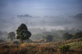 Sunrise mist cover mountain background at countryside winter foggy landscape forest in the morning beautiful Royalty Free Stock Photo