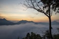 Sunrise mist cover mountain background at countryside winter foggy landscape forest in the morning beautiful Royalty Free Stock Photo