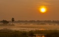 Sunrise in the Mist marshland landscape. Colored sunrise with water reflections and fog. golden light background Royalty Free Stock Photo