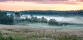 Sunrise and mist near forest