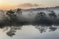 Sunrise in the misty bog during summer Royalty Free Stock Photo