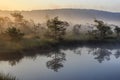 Sunrise in the misty bog during summer Royalty Free Stock Photo