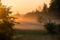 Sunrise in misty country meadow Royalty Free Stock Photo