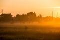 Sunrise in misty country meadow Royalty Free Stock Photo