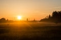 Sunrise in misty country meadow Royalty Free Stock Photo
