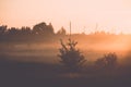 sunrise in misty country meadow - retro vintage look Royalty Free Stock Photo