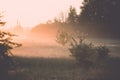 sunrise in misty country meadow - retro vintage look Royalty Free Stock Photo