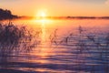 Sunrise misty lake