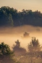 Sunrise misty landscape at sunrise