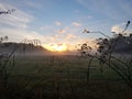 Sunrise on a misty morning in Sussex England.