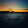 Sunrise at Monahans Sandhills State Park, Monahans, Texas.