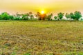 Sunrise in the moring on the field of farmer