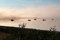 Magic light with fishing boats - Morning fog above the surface of the Glacier Bay - Alaska