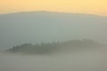 Sunrise in the morning mist cover pine tree forest form Chiangmai Thailand. Royalty Free Stock Photo