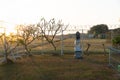 Sunrise in the morning in a place surrounded by barbed guardrails. There is a place of worship for Hindus in a vast expanse of Royalty Free Stock Photo