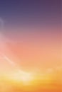 Sunrise Morning in Purple,Orange,Yellow and Pink sky with cloud,Vertical Dramatic twilight landscape Sunset in evening,Vector