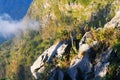 Sunrise in morning with tree on the rock of mountain. Sunray with Fog and mist cover the jungle hill in Thailand Royalty Free Stock Photo