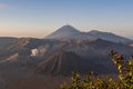 Sunrise at Mount Bromo volcano East Java, Indonesia. Royalty Free Stock Photo