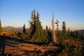 Strathcona Provincial Park Sunrise on Mount Drabble on the Forbidden Plateau, Vancouver Island, British Columbia Royalty Free Stock Photo