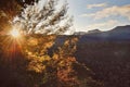 Sunrise in the Mountain Forest of Hogsback, Eastern Cape, South Africa