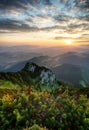 Sunrise on mountain at summer Royalty Free Stock Photo