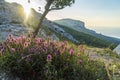 Sunrise in the mountains .southern Crimean coast Royalty Free Stock Photo