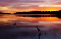 Sunrise Narrabeen Lakes Royalty Free Stock Photo