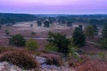 Early morning fog during spectacular colored sunrise at the Brunsummerheide Royalty Free Stock Photo
