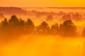 Sunrise Natural Background. Aerial View Amazing Misty Plain Landscape. Morning Fog Illuminated By Sun Covers Plain