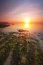 Sunrise near a beach with red and green seaweeds in Bali, Indonesia.