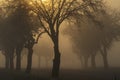 sunrise near Znojmo, South Moravia, Czech Republic