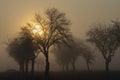 sunrise near Znojmo, South Moravia, Czech Republic Royalty Free Stock Photo