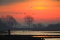 A sunrise in the Netherlands with a typical Dutch landscape and geese taking off.