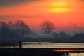 A sunrise in the Netherlands with a typical Dutch landscape and geese taking off.