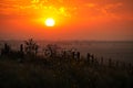 Sunrise at North Platte River valley, western Nebraska, USA Royalty Free Stock Photo