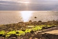 Sunrise over Staffin coasts, isle of skye Royalty Free Stock Photo