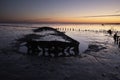 Sunrise at the Waddenzee in the Netherlands Royalty Free Stock Photo