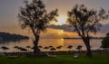 Sunrise between the olive trees.