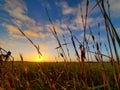 Sunrise open grassland, clouds Royalty Free Stock Photo