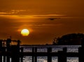 Sunrise and the Osprey